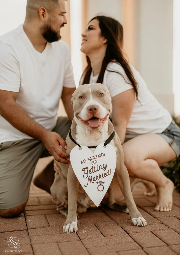 My Humans Are Getting Married Wedding Announcement Engagement Photo Shoot Sign