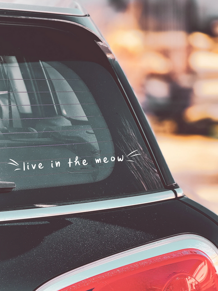Live in the Meow Car Decal