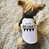 Dog Birthday It's My Birthday Banner Dog Raglan T-Shirt in Black and White Modeled by Nutmeg the Yorkshire Yorkie Terrier