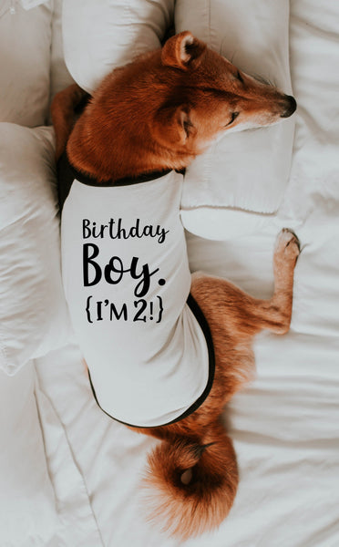 Personalized Birthday Boy I'm 2! Raglan Shirt in Black and White - Modeled by Miso the Shiba Inu