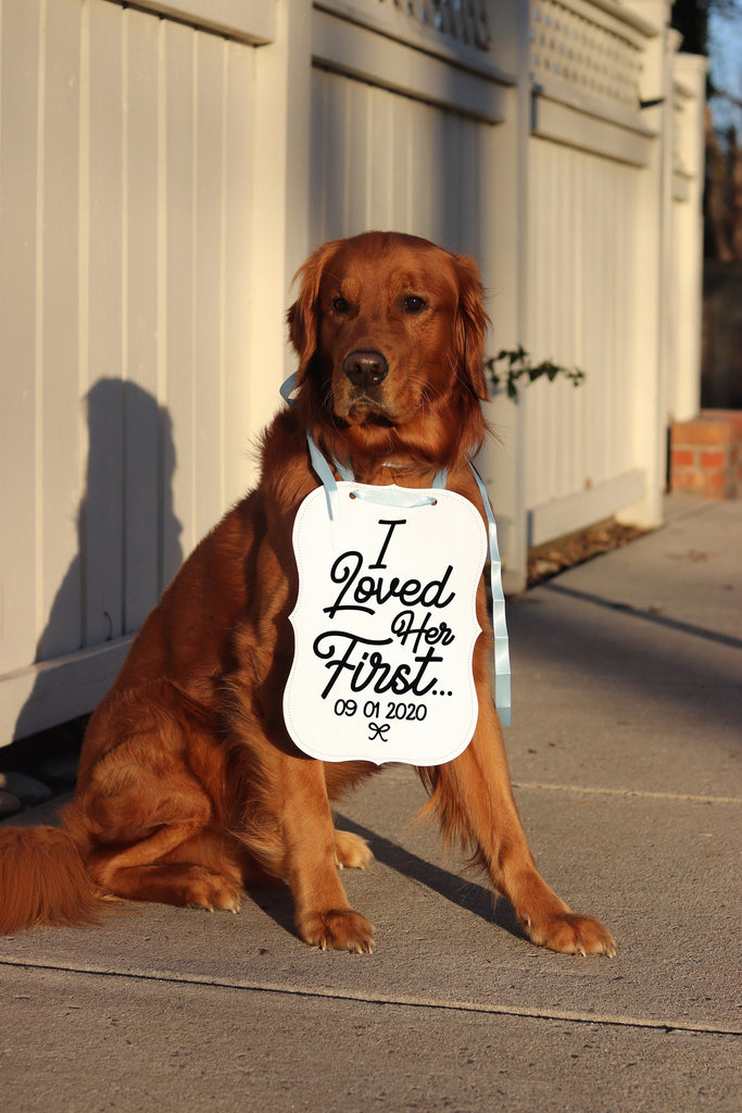 I Loved Her First Wedding Announcement Engagement Photo Shoot Special Occasion Dog Sign Dog Photo Prop - 8x10" Sign with Light Blue Wording Modeled by Chance the Golden Retriever