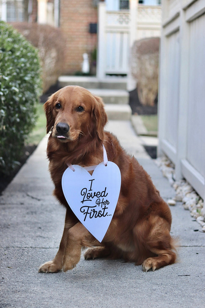 I Loved Her First Wedding Announcement Engagement Photo Shoot Special Occasion Dog Sign Dog Photo Prop - 8x10" Heart Sign with Light Pink Ribbon Modeled by Chance the Golden Retriever