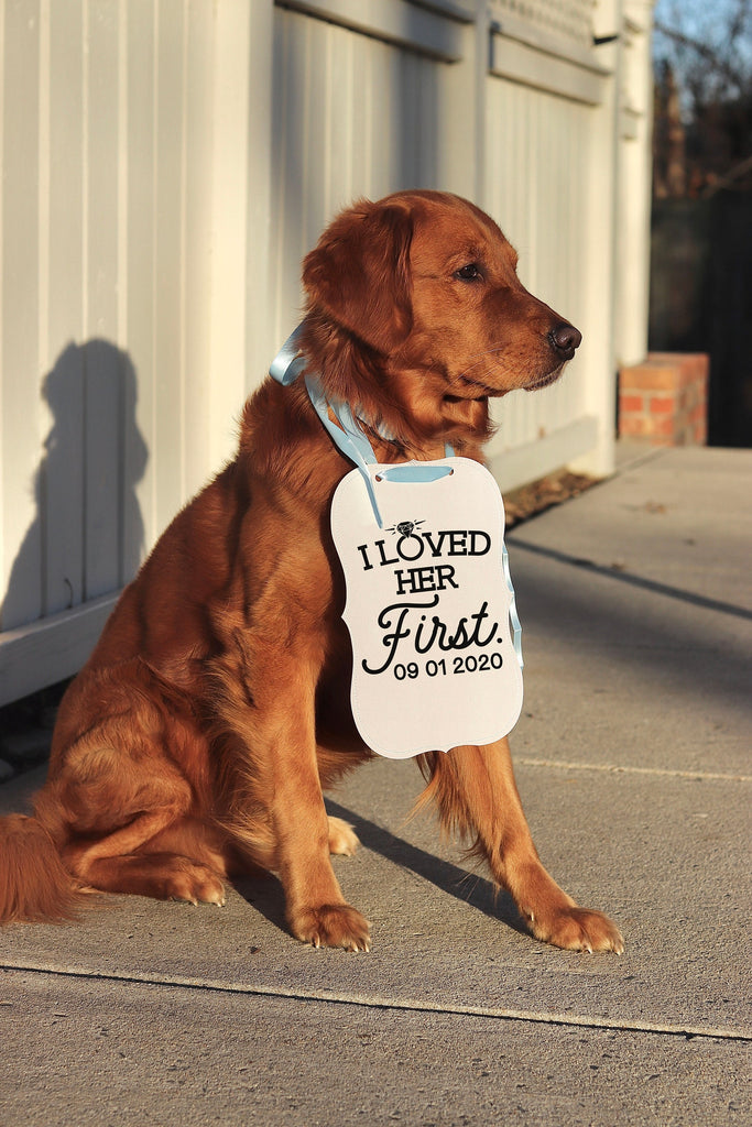 I Loved Her First Wedding Announcement Sign for Photoshoot - 8x10" Sign with Light Blue Ribbon Modeled by Chance the Golden Retriever