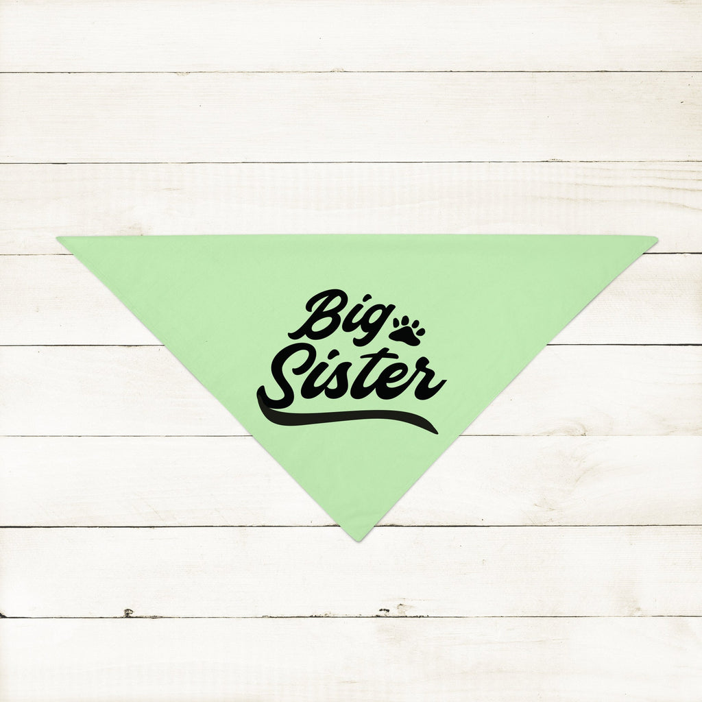 Custom Big Brother Big Sister Little Brother Little Sister Birth Announcement Dog Bandana Scarf in Mint Green