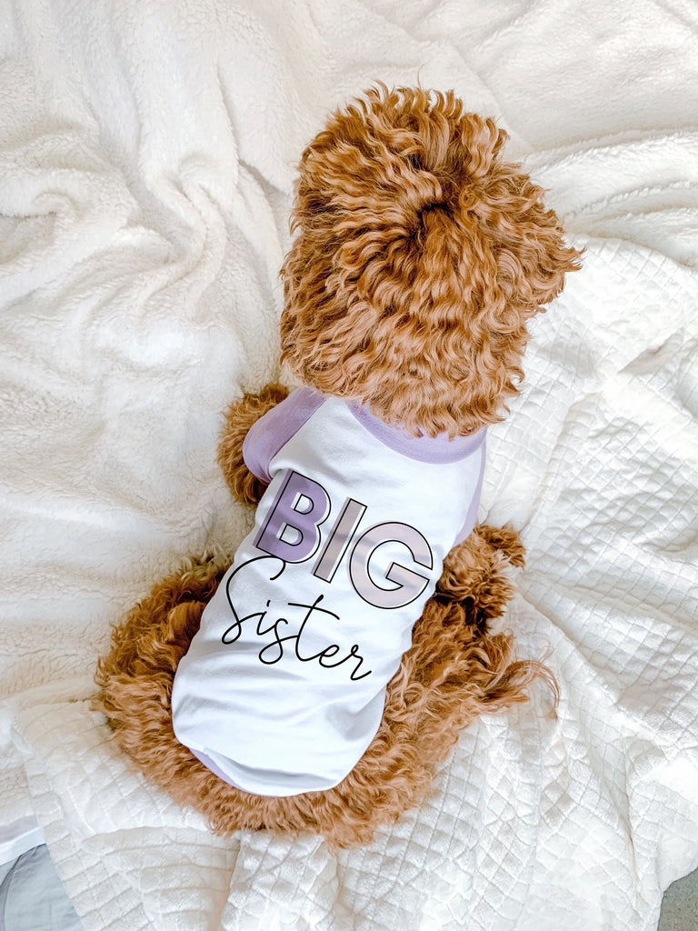 Big Brother Big Sister Pick a Graphic Color Dog Raglan Shirt in Lilac and White - Modeled by Bean the Goldendoodle