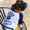 Custom Insta Model or Insta Influencer Instagram Handle Dog Raglan Shirt in Grey/Navy - Modeled by Charlie the Bulldog