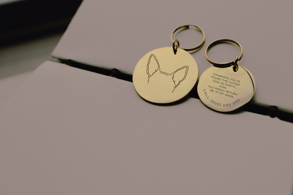 Dog or Cat Ears or Other Pet's Ears Gold Personalized Dog Tag