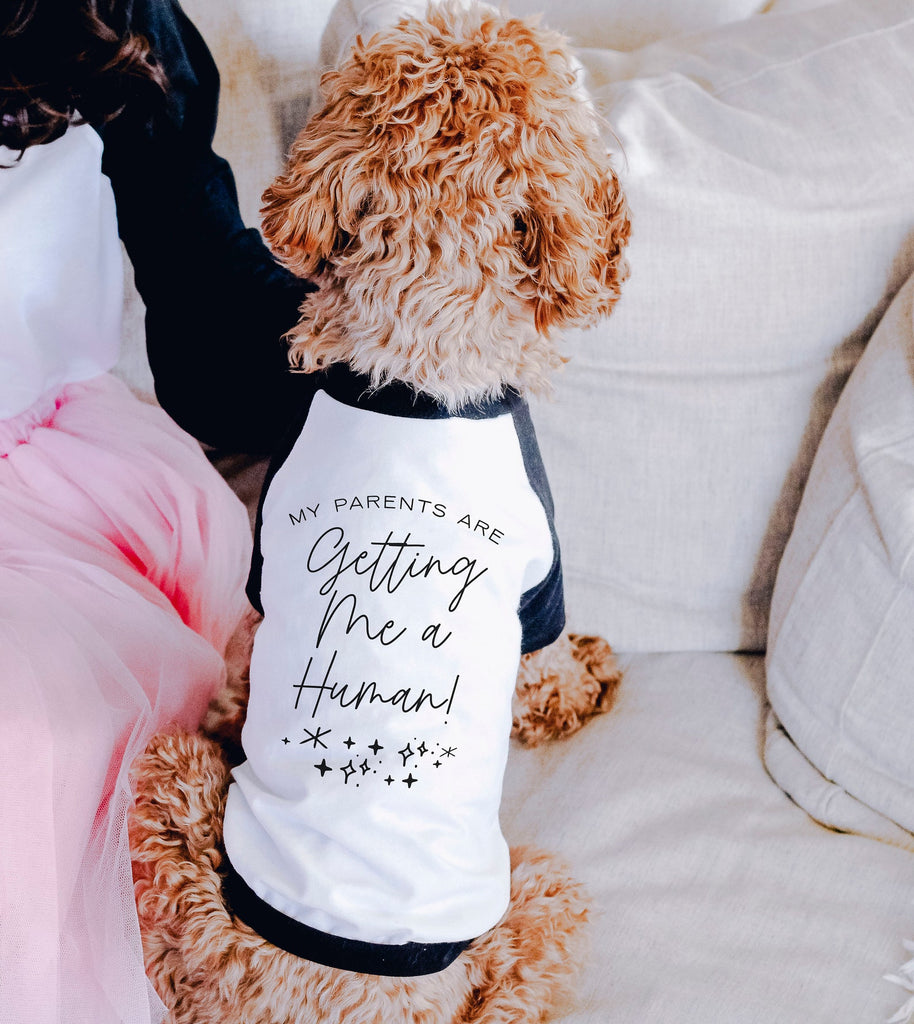 My Parents Are Getting Me a Human Glitter Pregnancy Announcement Dog Raglan Shirt in Black and White - Modeled by Goldendoodle