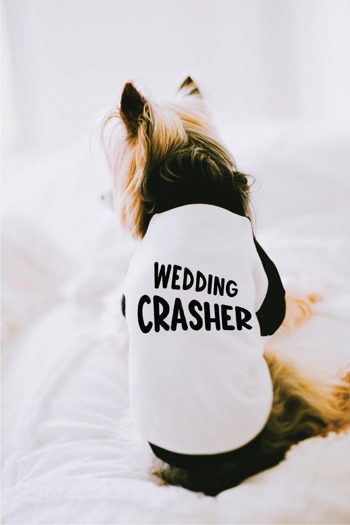 Wedding Crasher Engagement Announcement Dog Raglan Shirt in Black and White
