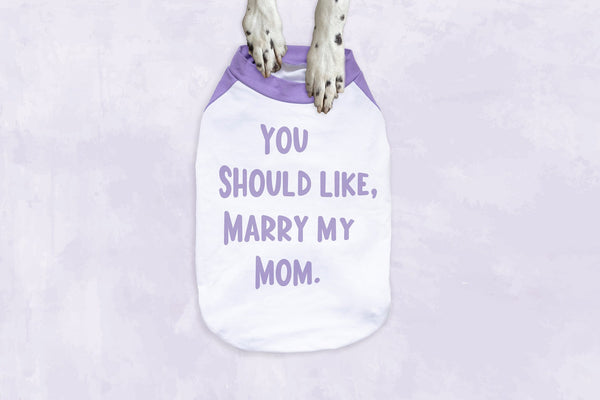 You Should Like, Marry My Mom or Dad Proposal Dog Raglan Shirt in Lilac and White