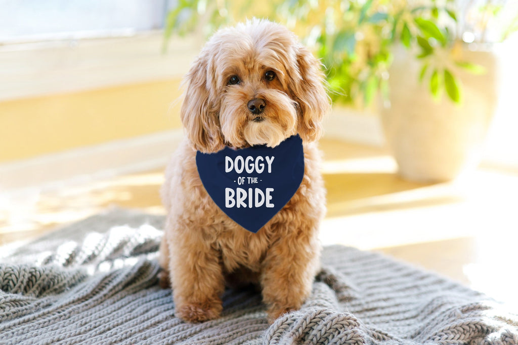 Doggy of the Bride Engagement Announcement Bandana in Navy