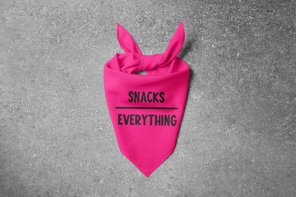 Snacks Over Everything Bandana in Hot Pink