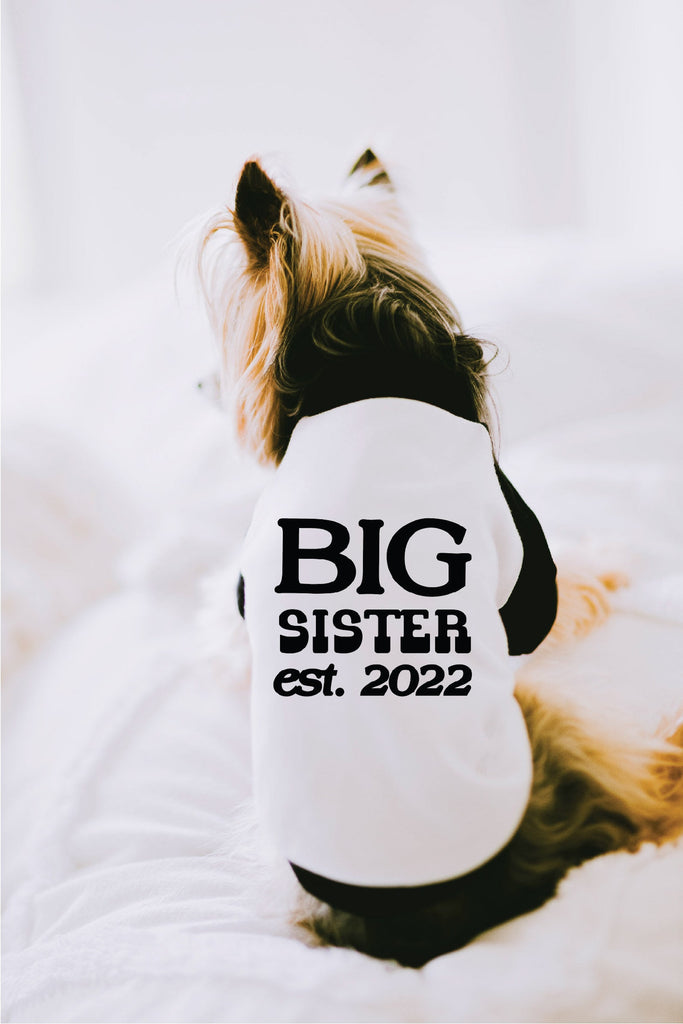 Big Sister Big Brother with Custom Est. Date Dog Raglan Shirt in Black and White