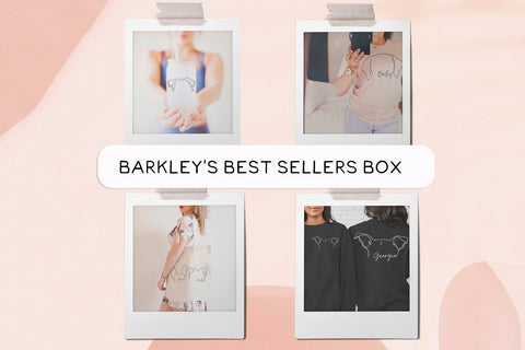 Barkley's Boxes
