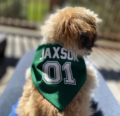 Dog Name Jersey Bandana