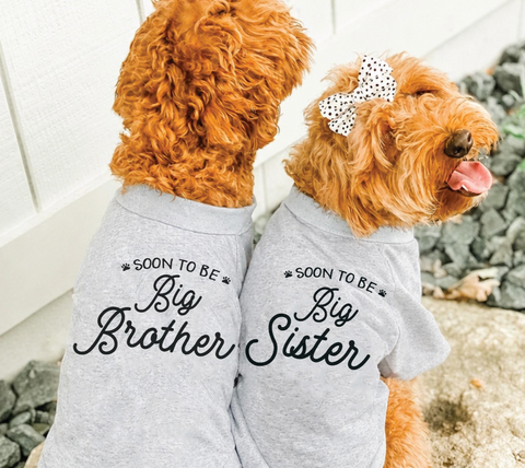 Soon to Be Big Brother or Sister Dog Shirt