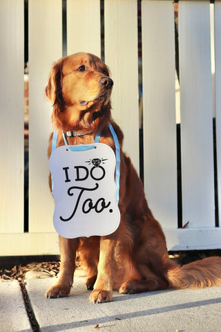 I Do Too Wedding Sign