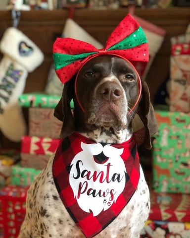 Santa Paws Bandana