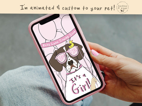 Animated Announcement Email