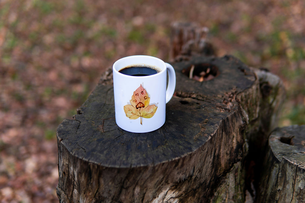 White mug with autumn leaf imprinted with a paw design on a bed of autumn leaves
