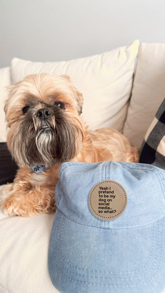 "Yeah I pretend to be my dog on social media.. so what?" Baseball Hat - Shown in Denim next to Shih Tzu
