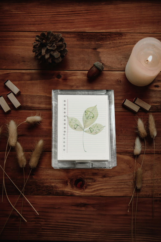 Notebook with plant illustration featuring paw print on a wooden surface with decorative items