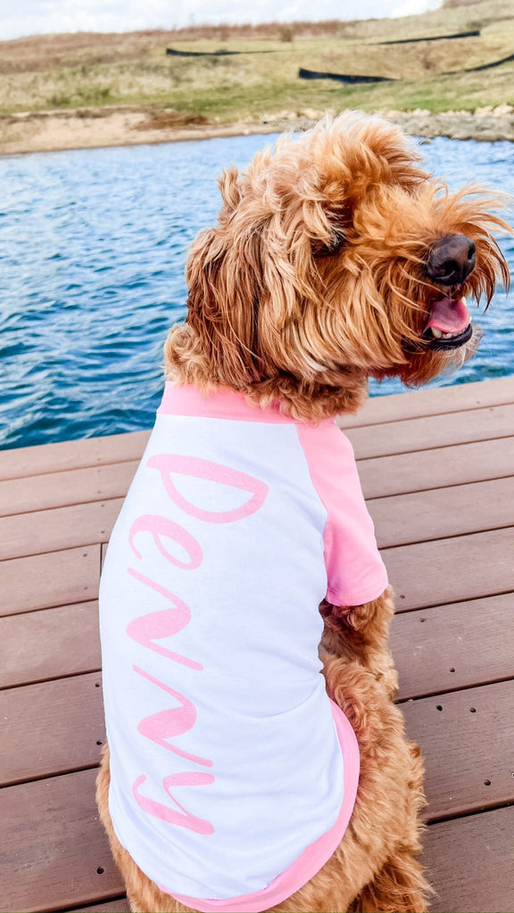 Personalized Pet Name Custom Dog Raglan Tee in Pink/White