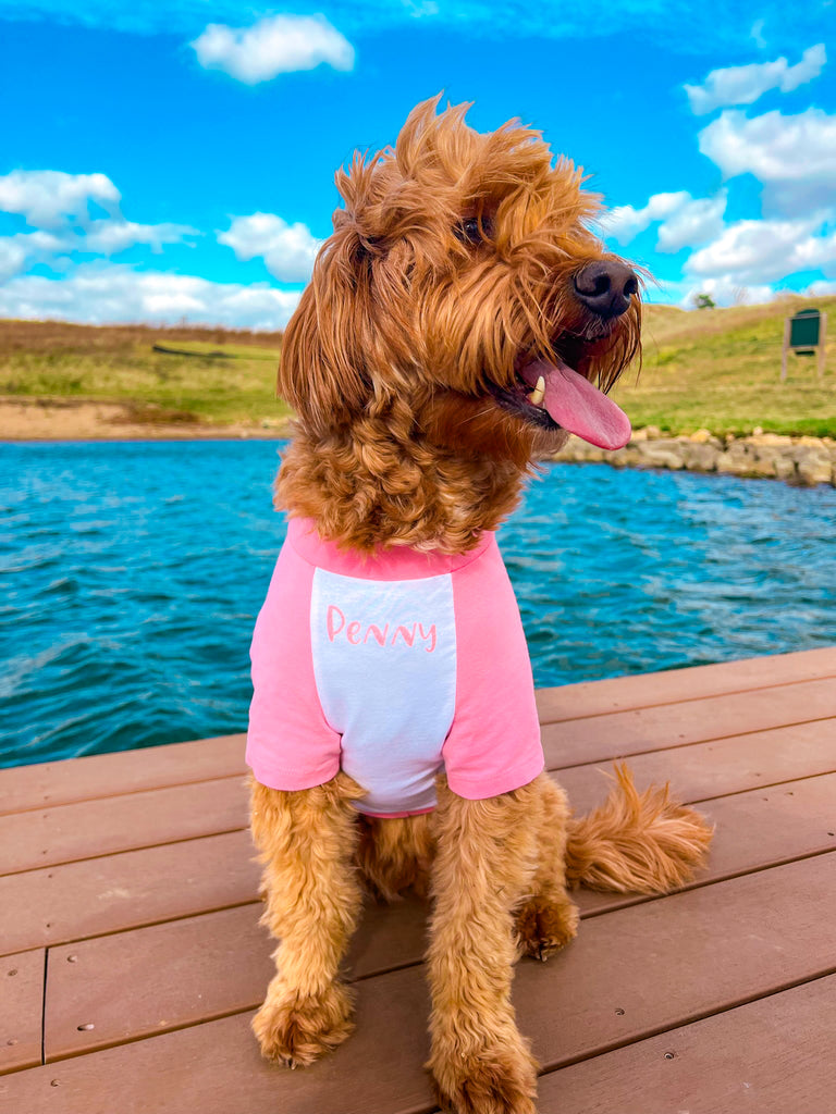 personalized dog gear Personalized Pet Name Custom Dog Raglan Tee