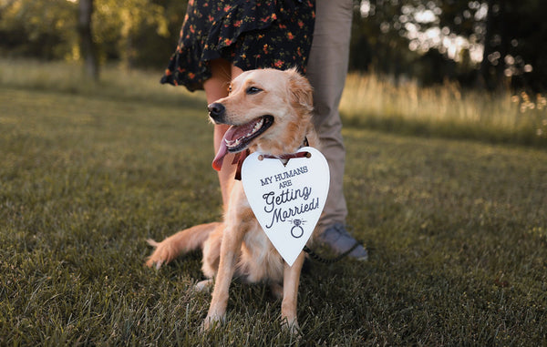 My Humans Are Getting Married Wedding Announcement Engagement Photo Shoot Sign