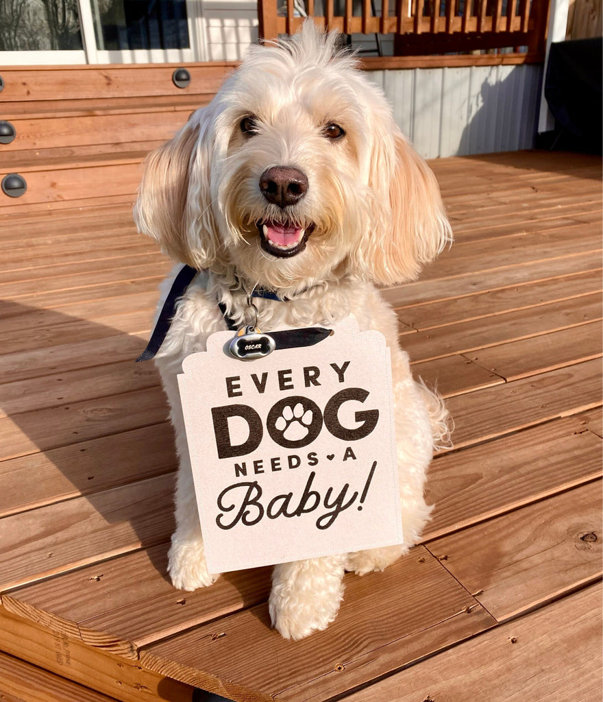 Every Dog Needs a Baby! Announcement Newborn Photo Shoot Dog Sign Prop Pregnancy Announcement