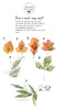 Illustrations of various leaves with a calligraphy text on a white background