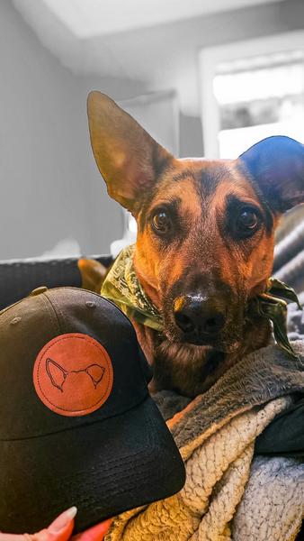 Custom Dog Ears on patch hat shown with German Shepherd