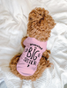 A small brown curly-haired dog lies on a white textured blanket, wearing a light pink pet shirt with the text 'promoted to BIG SISTER' in black lettering.