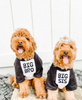 Big Bro Big Sis Baby Announcement Dog Raglans