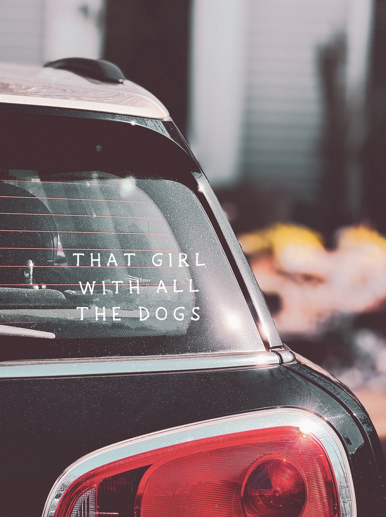 That Girl With All The Cats or Dogs Car Decal