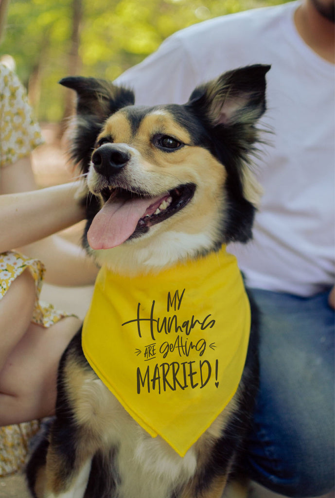 My Humans are Getting Married Engagement Announcement Bandana