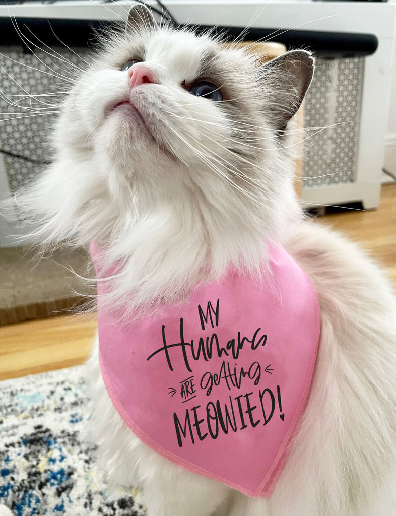 My Humans are Getting Meowied or Married Engagement Announcement Bandana