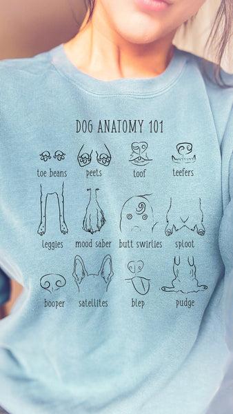 Dog Anatomy Comfort Colors Sweatshirt in Light Blue