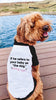 Personalized Funny Wording Custom Dog Shirt Tee Worn by Doodle