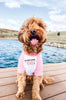 Cute Pink/White Raglan with Custom Funny Lettering