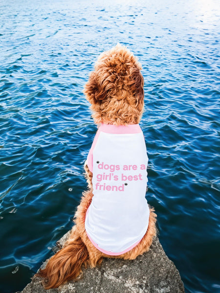 Customized Wording Custom Dog Raglan Tee in Pink/White - "Dogs are a Girl's Best Friend"