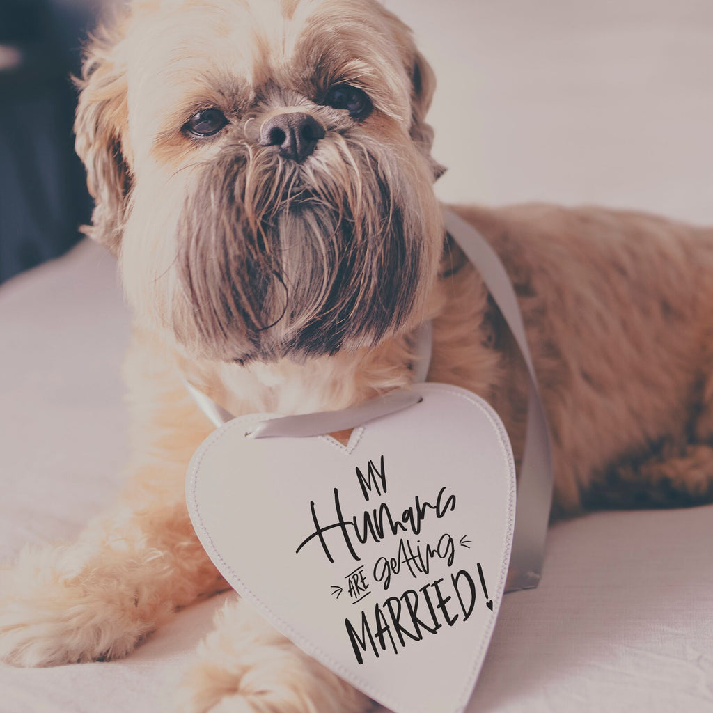 My Humans are Getting Meowied or Married Engagement Announcement Sign