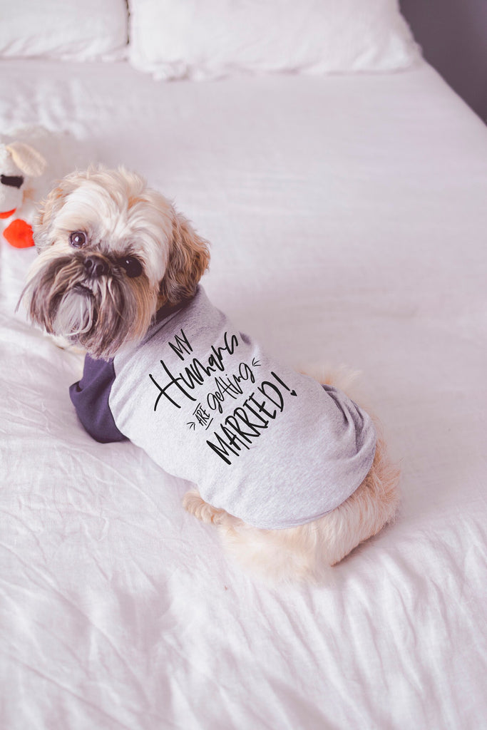 My Humans are Getting Married or Meowied Engagement Announcement Dog Raglan Shirt