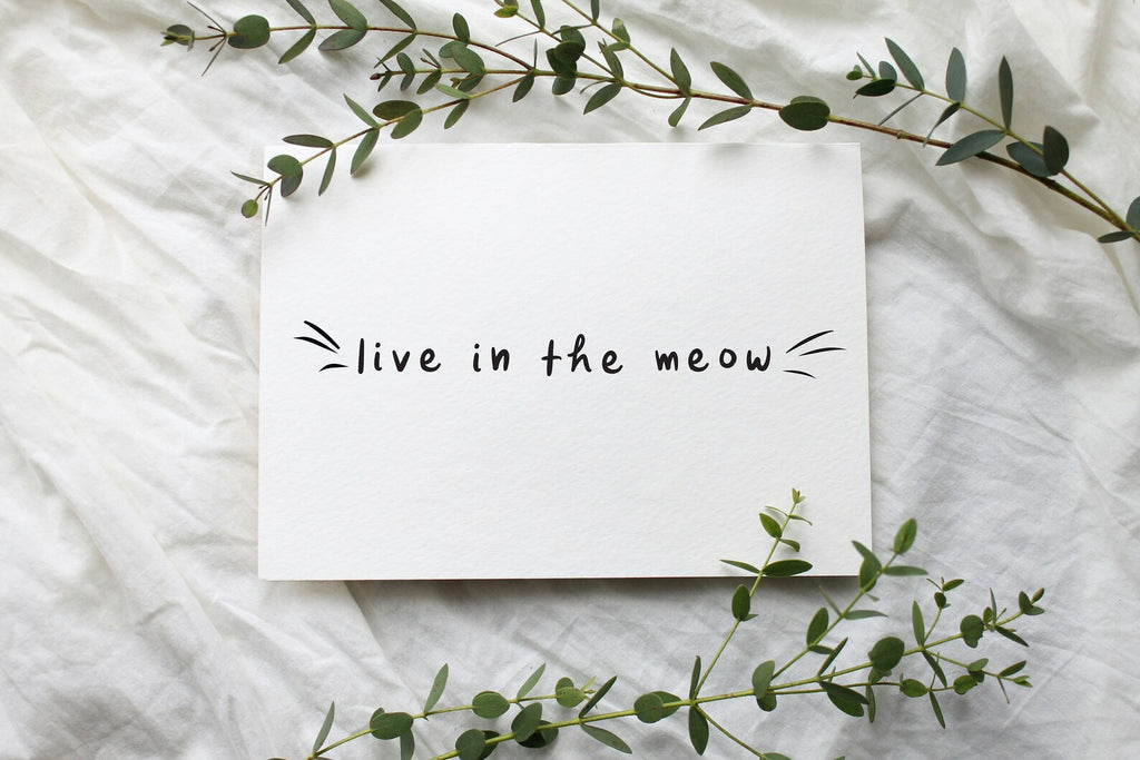 Live in the Meow Wall Print