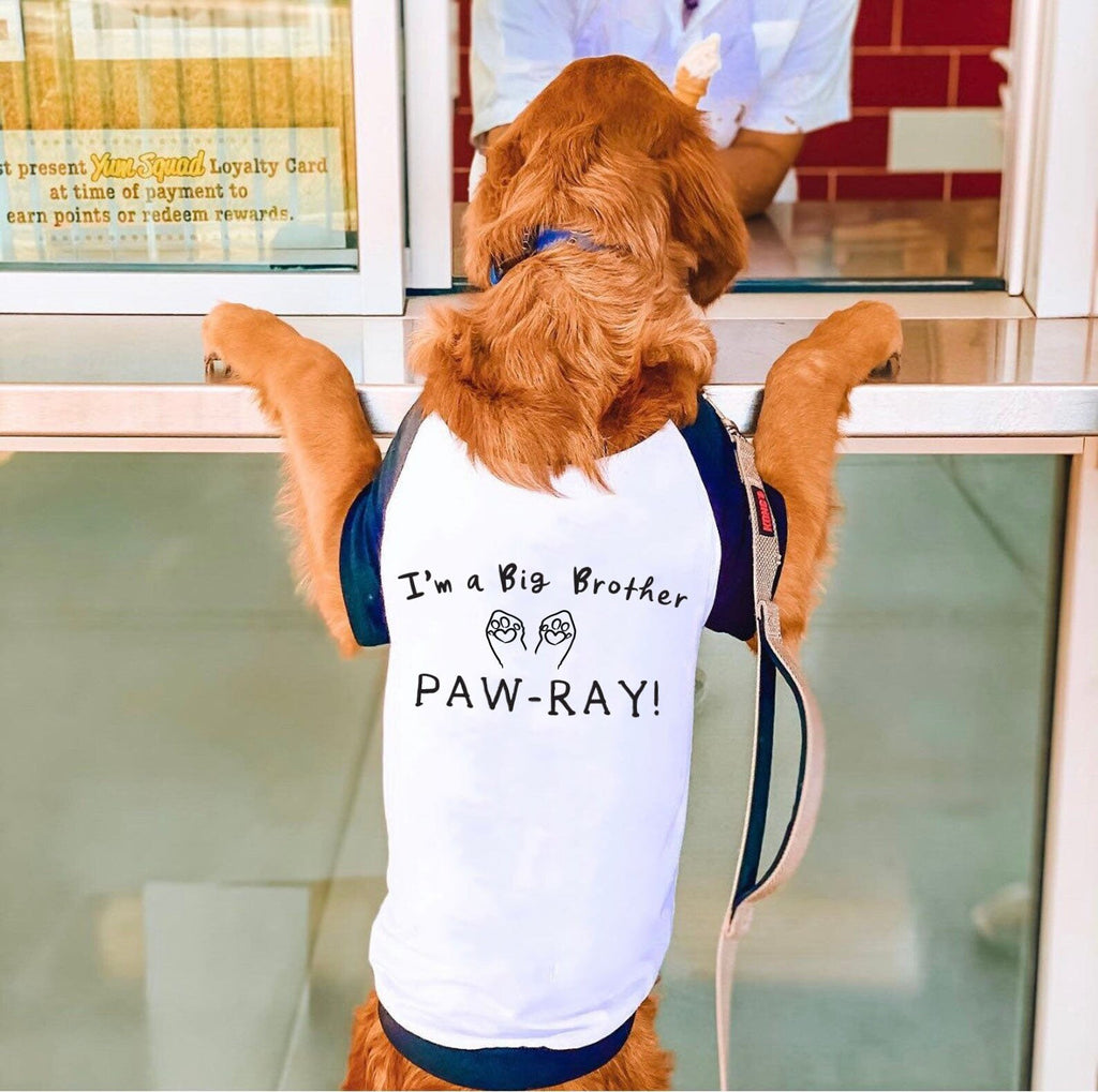 I'm a Big Brother or Big Sister Paw-ray Baby Announcement Dog Raglan