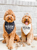 Your Dog's Custom Name Bandana