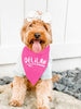 Your Dog's Custom Name Bandana