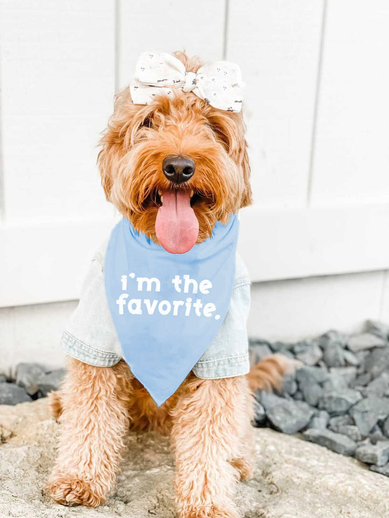 I'm the Favorite I'm Also the Favorite Funny Dog Bandana Scarf