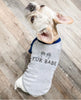 Fur Babe Dog Raglan T-Shirt