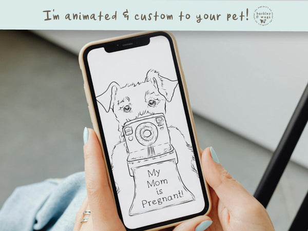 Animated Pregnancy Announcement for Reels Social Media Emails with Personalized Dog Portrait